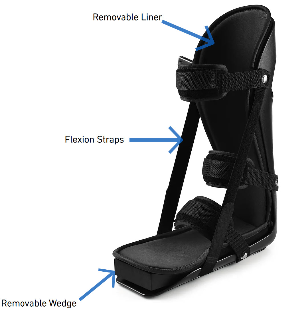 EP】NIGHT FLEXION / NIGHT FLEXION｜邦楽 